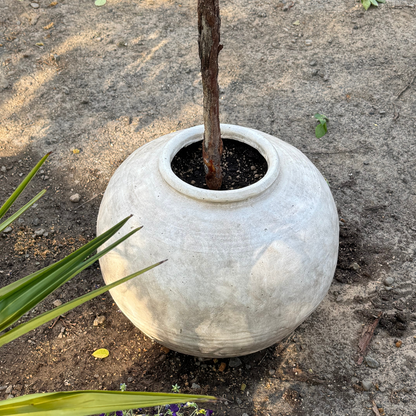 Greystone Fiber Clay Vessel in Aged White, 18.5"D x 14.4" H