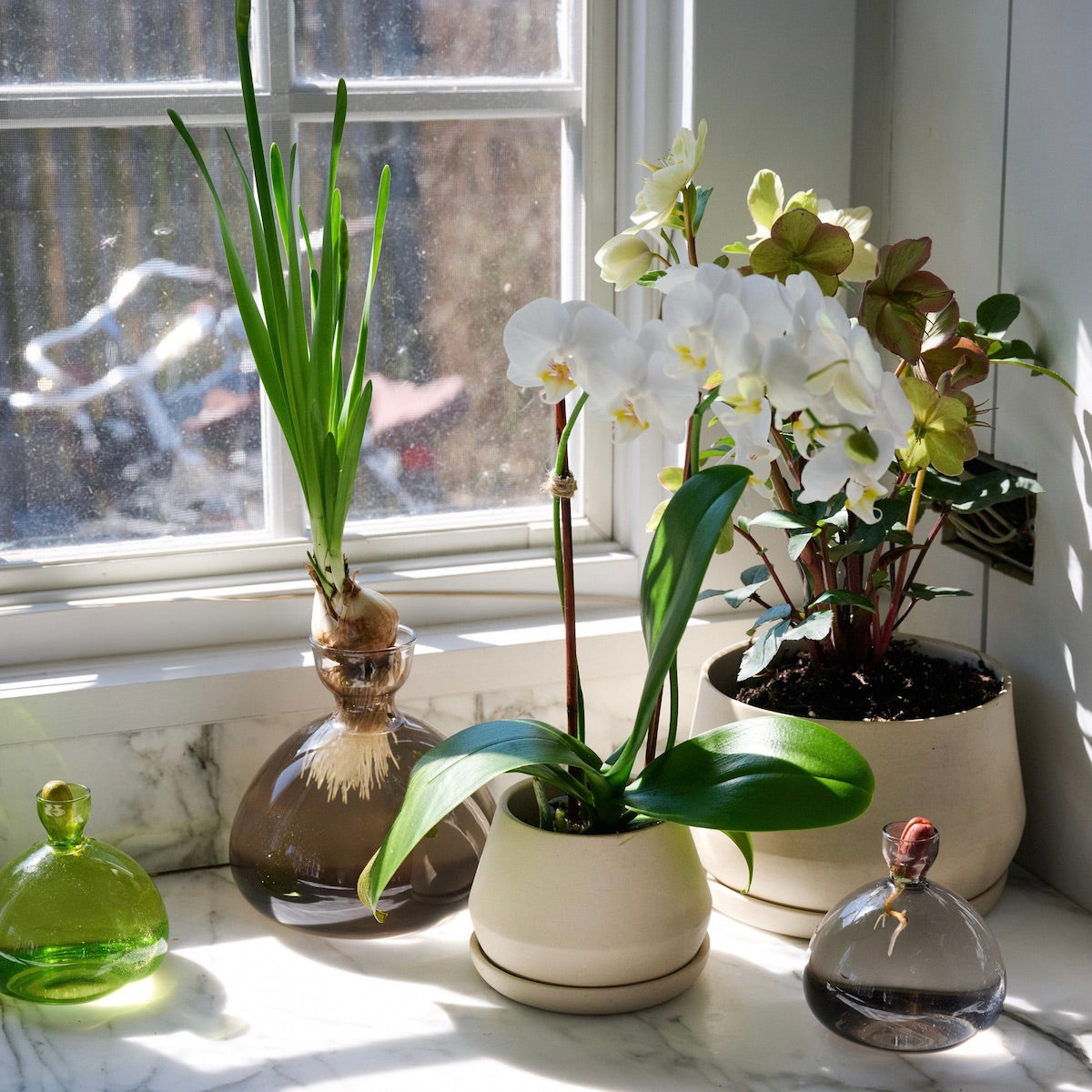 Acorn Vase