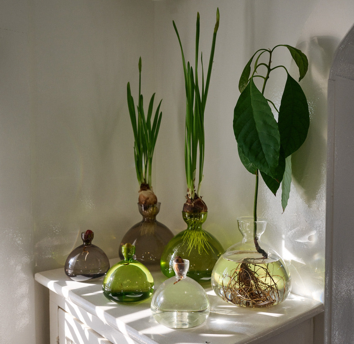 Acorn Vase